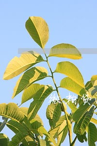 微粒贷逾期56天了会怎么样 微粒贷逾期56天了会怎么样