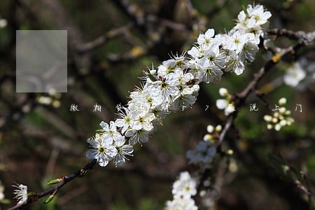 微粒贷逾期57天说上门 微粒贷逾期57天说上门