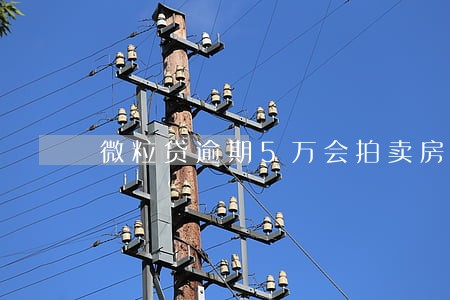 微粒贷逾期5万会拍卖房吗 微粒贷逾期5万会拍卖房吗