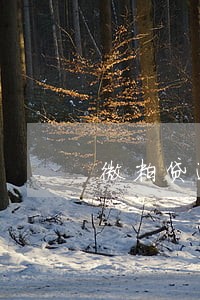 微粒贷逾期5万利息一天多少