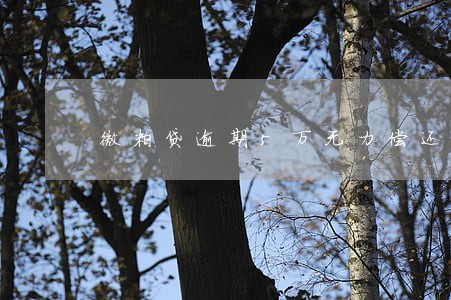 微粒贷逾期5万无力偿还 微粒贷逾期5万无力偿还