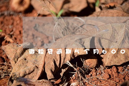 微粒贷逾期5个月6000 微粒贷逾期5个月6000