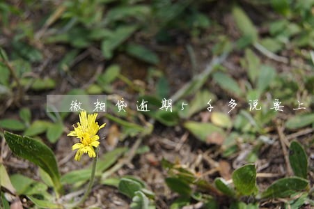 微粒贷逾期5千多说要上门真的吗 微粒贷逾期5千多说要上门真的吗