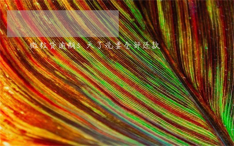 微粒贷逾期5天了说要全部还款 微粒贷逾期5天了说要全部还款