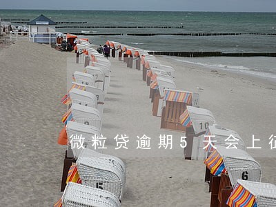 微粒贷逾期5天会上征信不 微粒贷逾期5天会上征信不