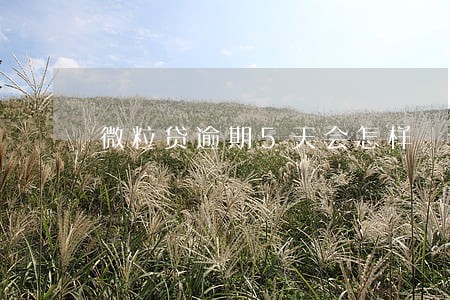 微粒贷逾期5天会怎样 微粒贷逾期5天会怎样