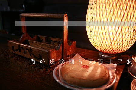 微粒贷逾期5天还上了怎么办 微粒贷逾期5天还上了怎么办