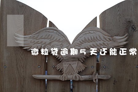 微粒贷逾期5天还能正常用吗 微粒贷逾期5天还能正常用吗