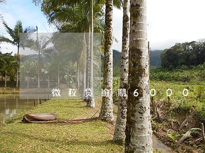 微粒贷逾期6000 微粒贷逾期6000