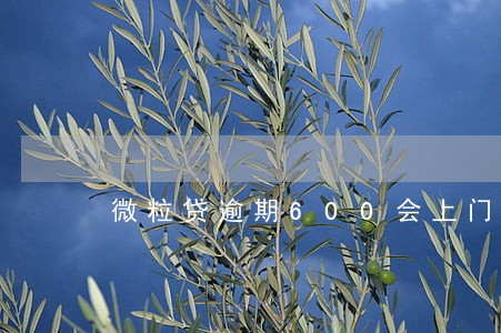 微粒贷逾期600会上门 微粒贷逾期600会上门
