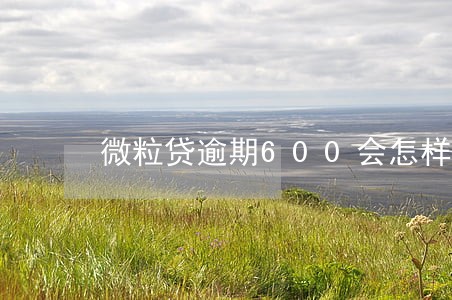 微粒贷逾期600会怎样 微粒贷逾期600会怎样