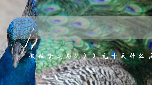 微粒贷逾期600元十天什么后果 微粒贷逾期600元十天什么后果