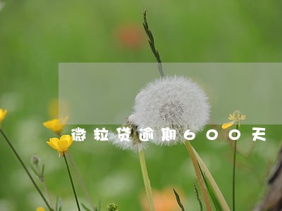 微粒贷逾期600天