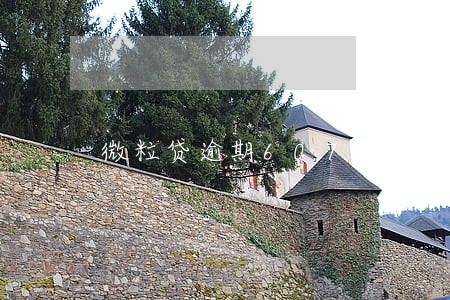 微粒贷逾期607天 微粒贷逾期607天