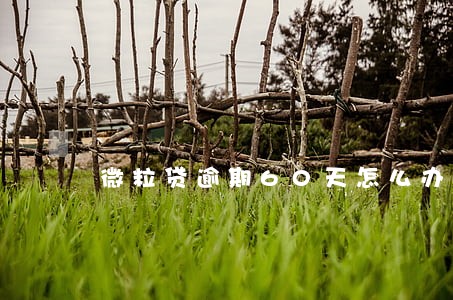 微粒贷逾期60天怎么办 微粒贷逾期60天怎么办