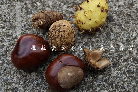 微粒贷逾期61天全额还款 微粒贷逾期61天全额还款
