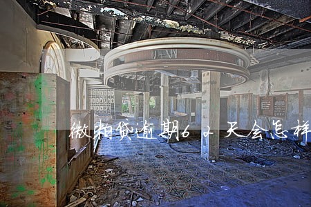 微粒贷逾期62天会怎样 微粒贷逾期62天会怎样