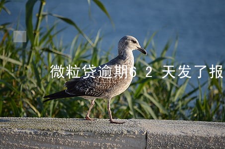 微粒贷逾期62天发了报案书 微粒贷逾期62天发了报案书