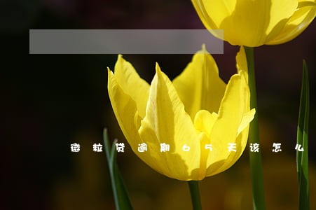 微粒贷逾期65天该怎么办