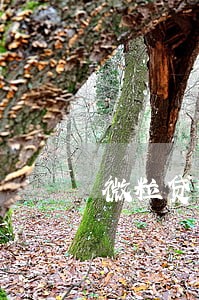 微粒贷逾期674天怎么处理 微粒贷逾期674天怎么处理