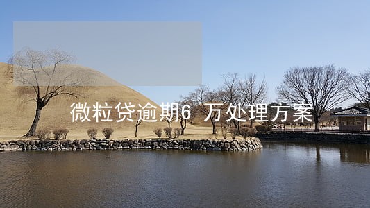 微粒贷逾期6万处理方案