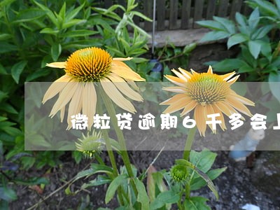 微粒贷逾期6千多会上门么 微粒贷逾期6千多会上门么