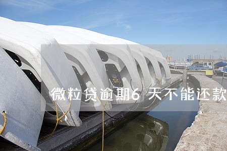 微粒贷逾期6天不能还款了 微粒贷逾期6天不能还款了
