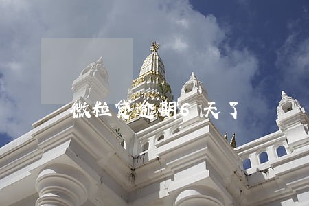 微粒贷逾期6天了 微粒贷逾期6天了
