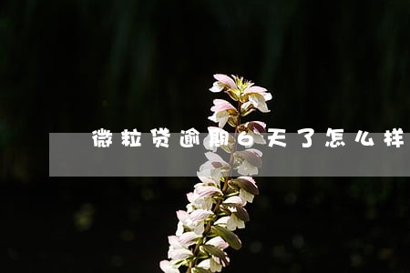 微粒贷逾期6天了怎么样 微粒贷逾期6天了怎么样