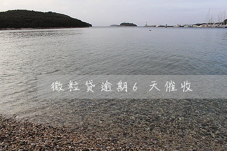微粒贷逾期6天催收 微粒贷逾期6天催收