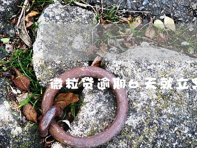 微粒贷逾期6天就立案申请