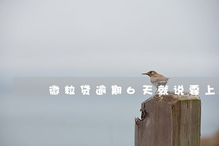微粒贷逾期6天就说要上门 微粒贷逾期6天就说要上门