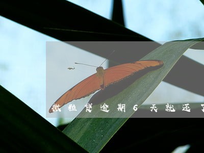 微粒贷逾期6天就还了 微粒贷逾期6天就还了