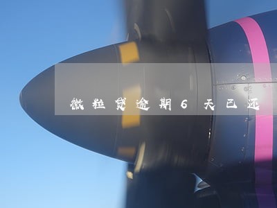 微粒贷逾期6天已还 微粒贷逾期6天已还