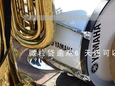 微粒贷逾期6天还可以借么 微粒贷逾期6天还可以借么