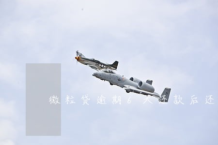 微粒贷逾期6天还款后还能借吗 微粒贷逾期6天还款后还能借吗
