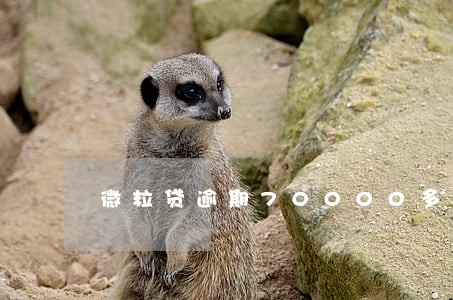 微粒贷逾期70000多 微粒贷逾期70000多