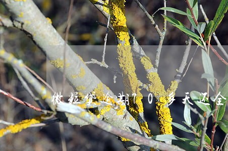 微粒贷逾期70多天还全款 微粒贷逾期70多天还全款