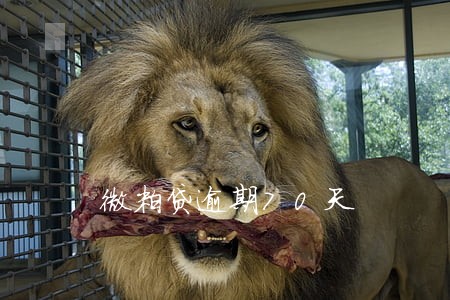微粒贷逾期70天 微粒贷逾期70天