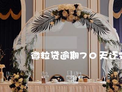 微粒贷逾期70天还完还会怎么样