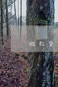 微粒贷逾期72天 微粒贷逾期72天