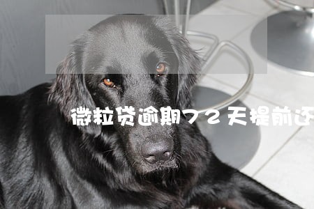 微粒贷逾期72天提前还全款 微粒贷逾期72天提前还全款