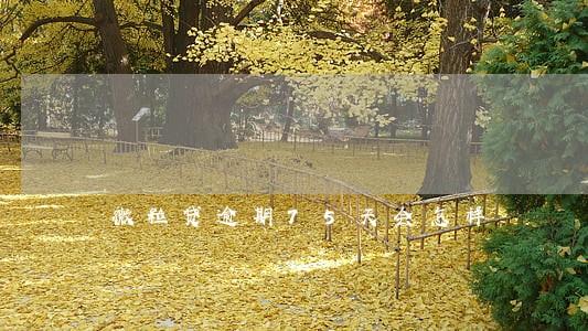 微粒贷逾期75天会怎样 微粒贷逾期75天会怎样
