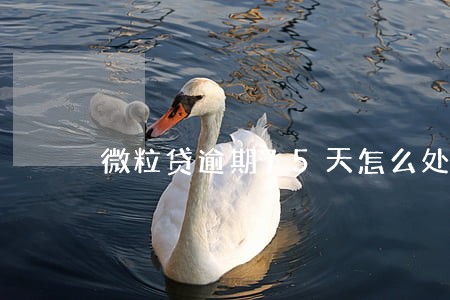 微粒贷逾期75天怎么处理 微粒贷逾期75天怎么处理
