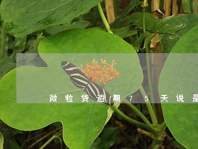 微粒贷逾期75天说是要上门 微粒贷逾期75天说是要上门