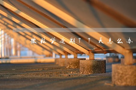 微粒贷逾期77天怎么办 微粒贷逾期77天怎么办