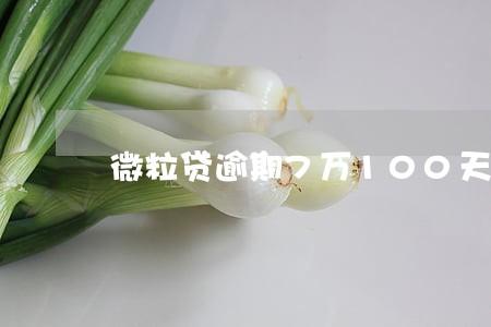 微粒贷逾期7万100天 微粒贷逾期7万100天
