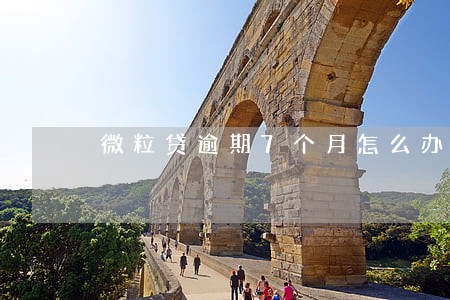 微粒贷逾期7个月怎么办呀 微粒贷逾期7个月怎么办呀