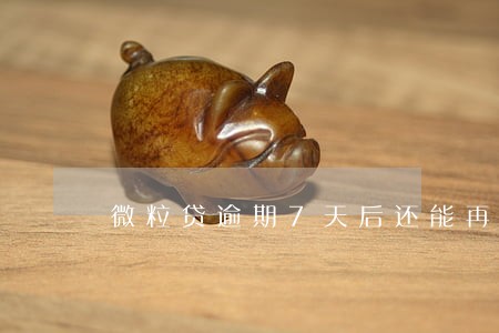 微粒贷逾期7天后还能再借款 微粒贷逾期7天后还能再借款
