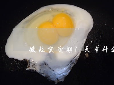微粒贷逾期7天有什么后果 微粒贷逾期7天有什么后果